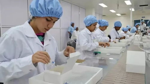 古巴抗癌疫苗取得新進展，為攻克實體瘤帶來新希望